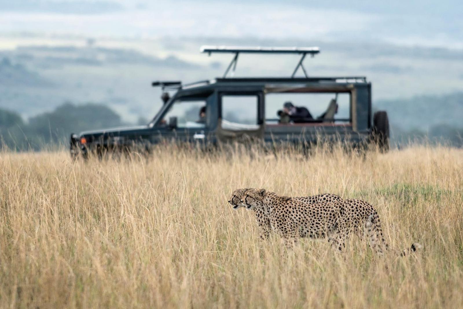 Talek Bush Camp , Masai Mara Hotel Exterior photo
